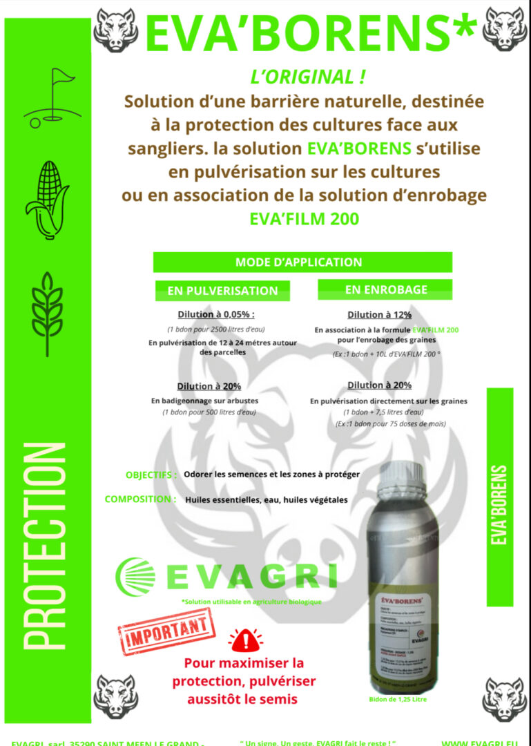EVA’BORENS - 1,25 Litres. – Image 3