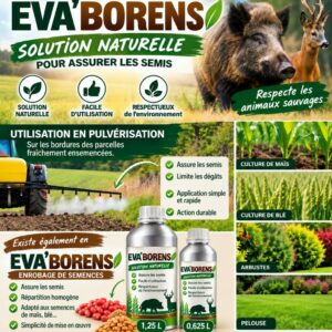 EVA’BORENS - 0.625 L