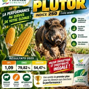 PLUTOR - 255