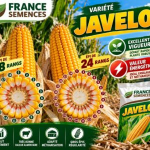 JAVELO