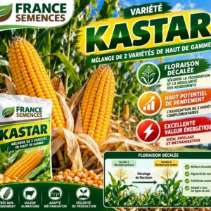 KASTAR